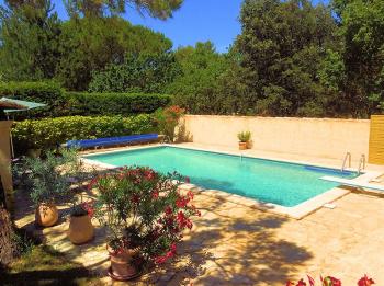 Holiday rental pool - Les-Taillades - La Michelette - Luberon Provence