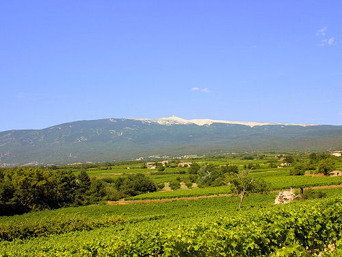 Flassan - Vaucluse - Luberon Provence